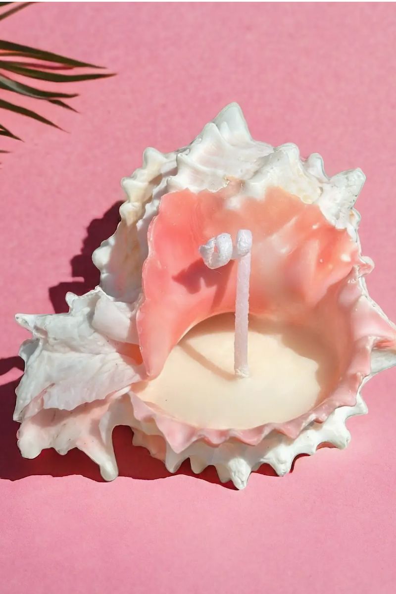Pink Murex Shell Candle Set Candle Nata Concept Store