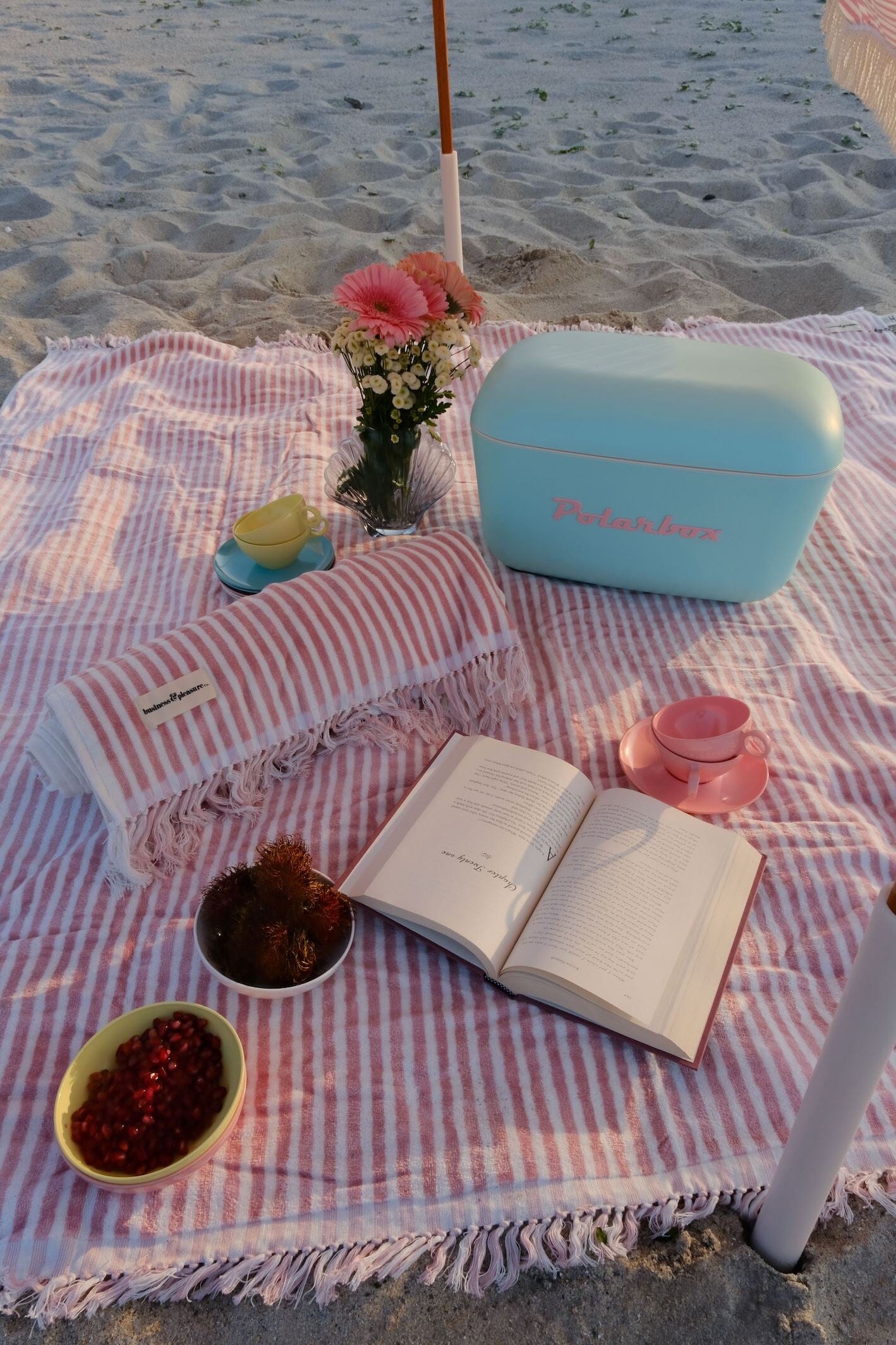 Polarbox Portable Cooler Bags mure + grand