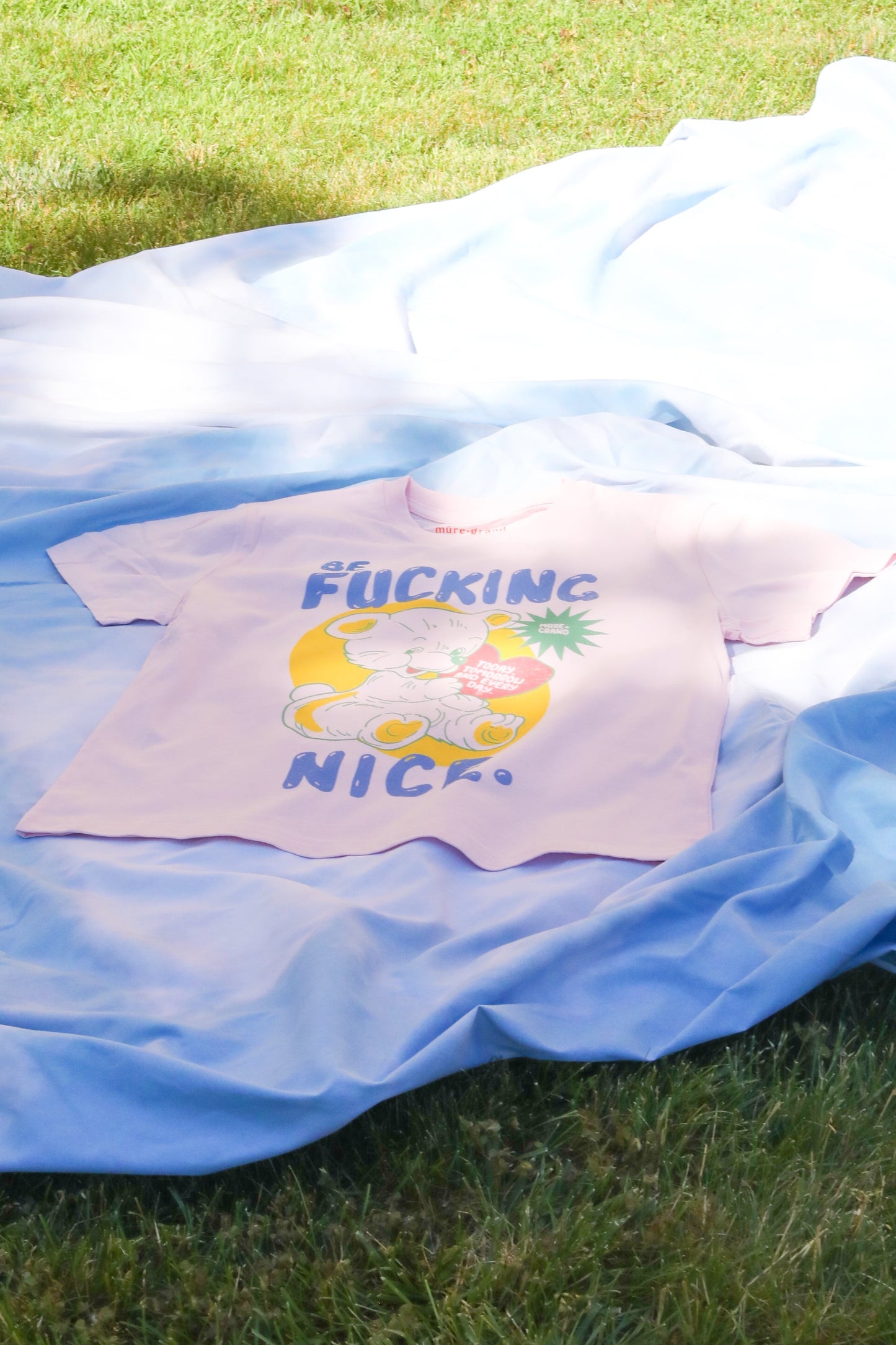 Be F*ing Nice Graphic T-Shirt t-shirt Mulberry & Grand