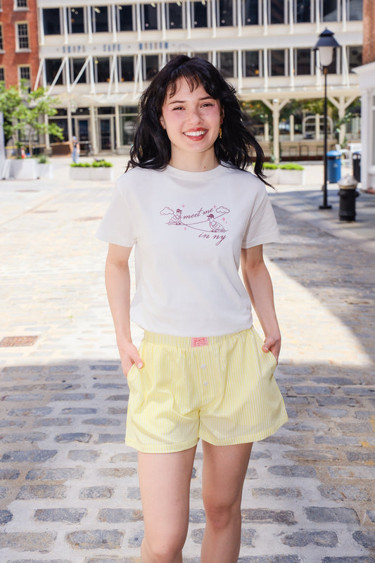 Meet Me in NY Pigeons T-shirt