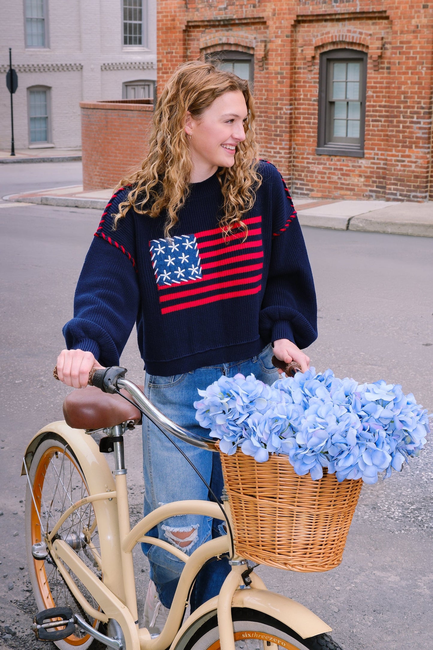 Americana Knit Pullover Sweater Sweater mure + grand 