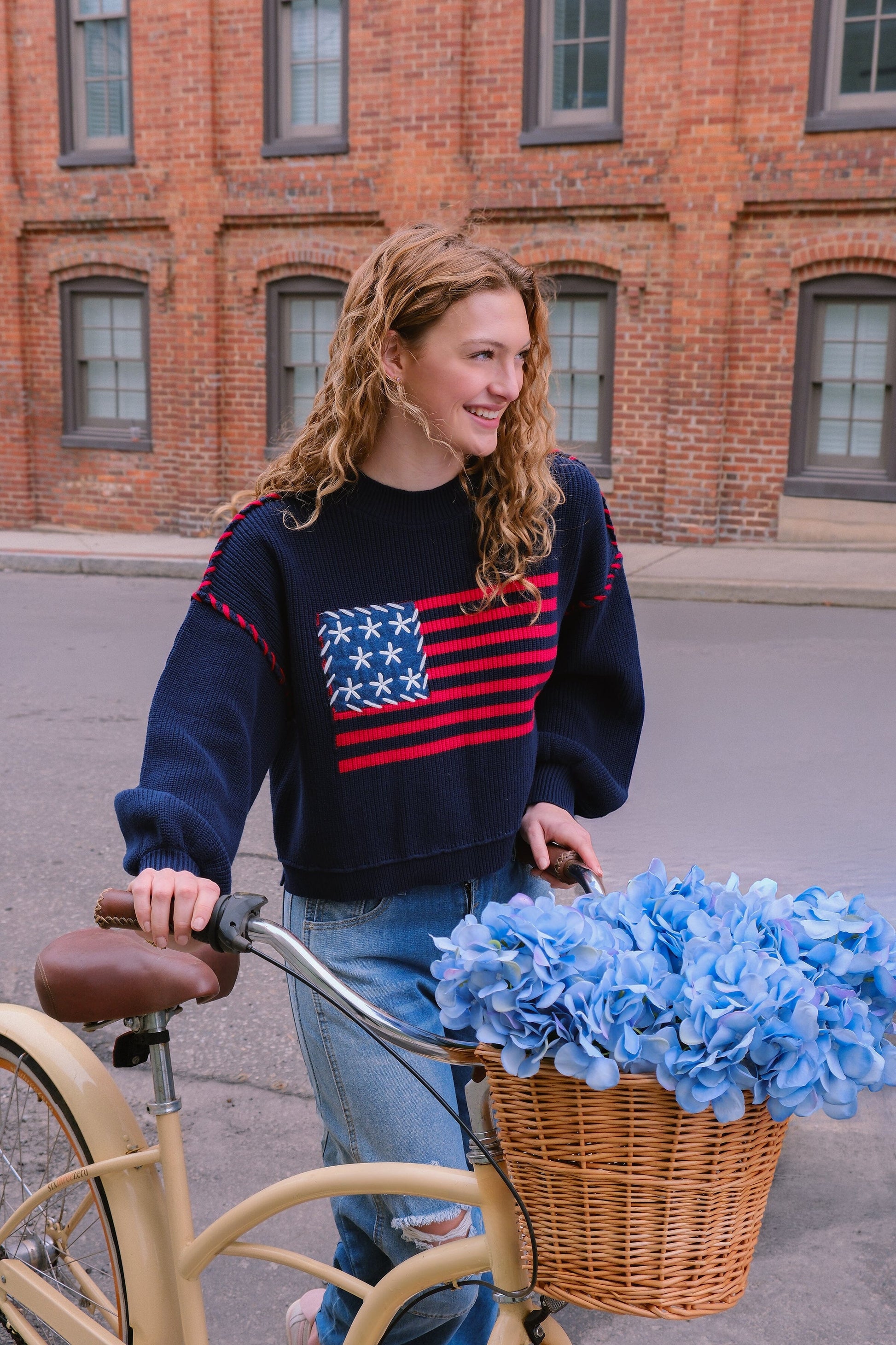 Americana Knit Pullover Sweater Sweater mure + grand 