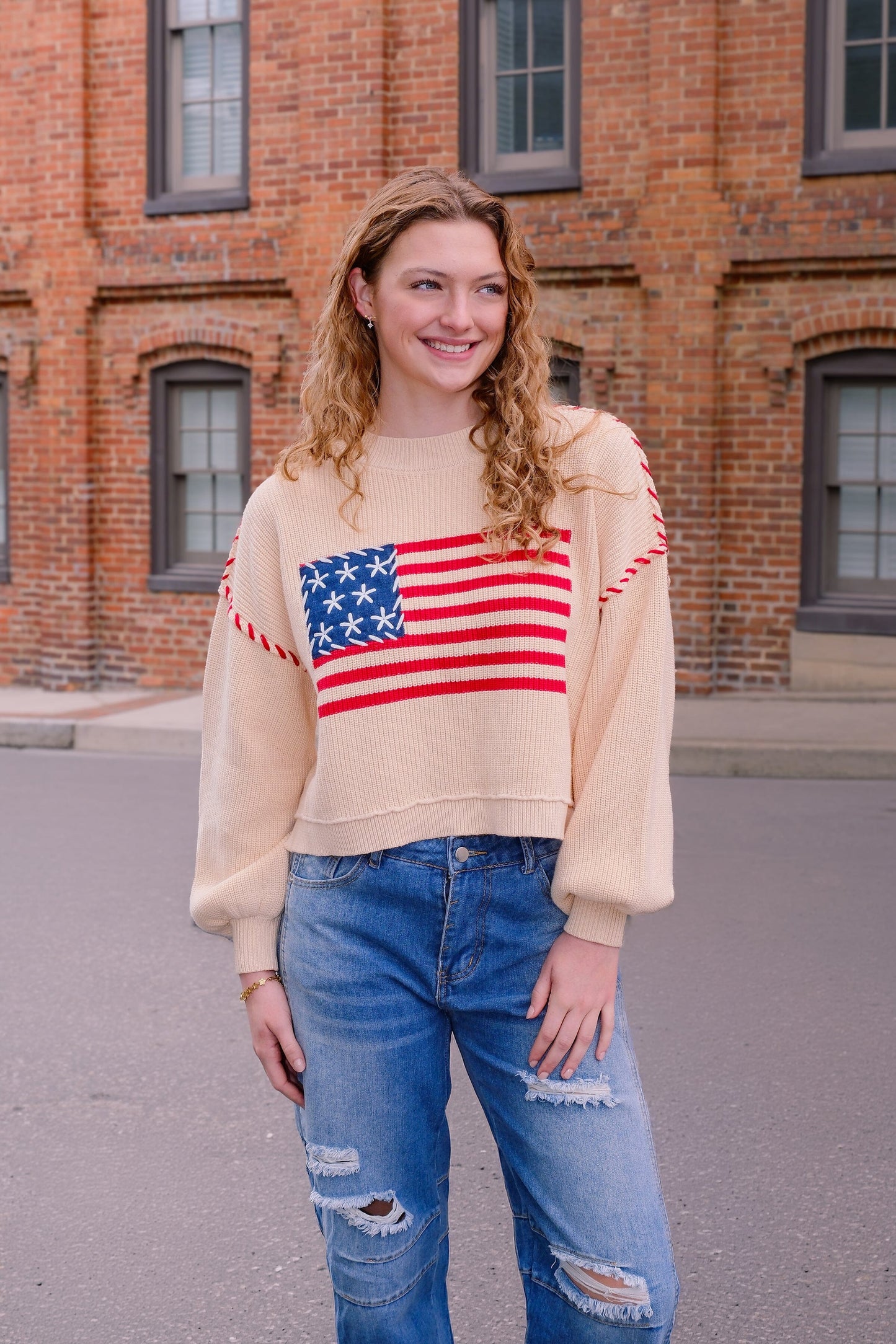 Americana Knit Pullover Sweater Sweater mure + grand 