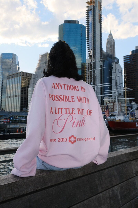 Anything Is Possible With a Little Bit of Pink Sweatshirt sweatshirt mure + grand 