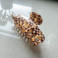 Caramel Macchiato Claw Clip Hair Accessory mure + grand 