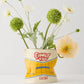 Chips Vase Home Decor DOIY Designs 