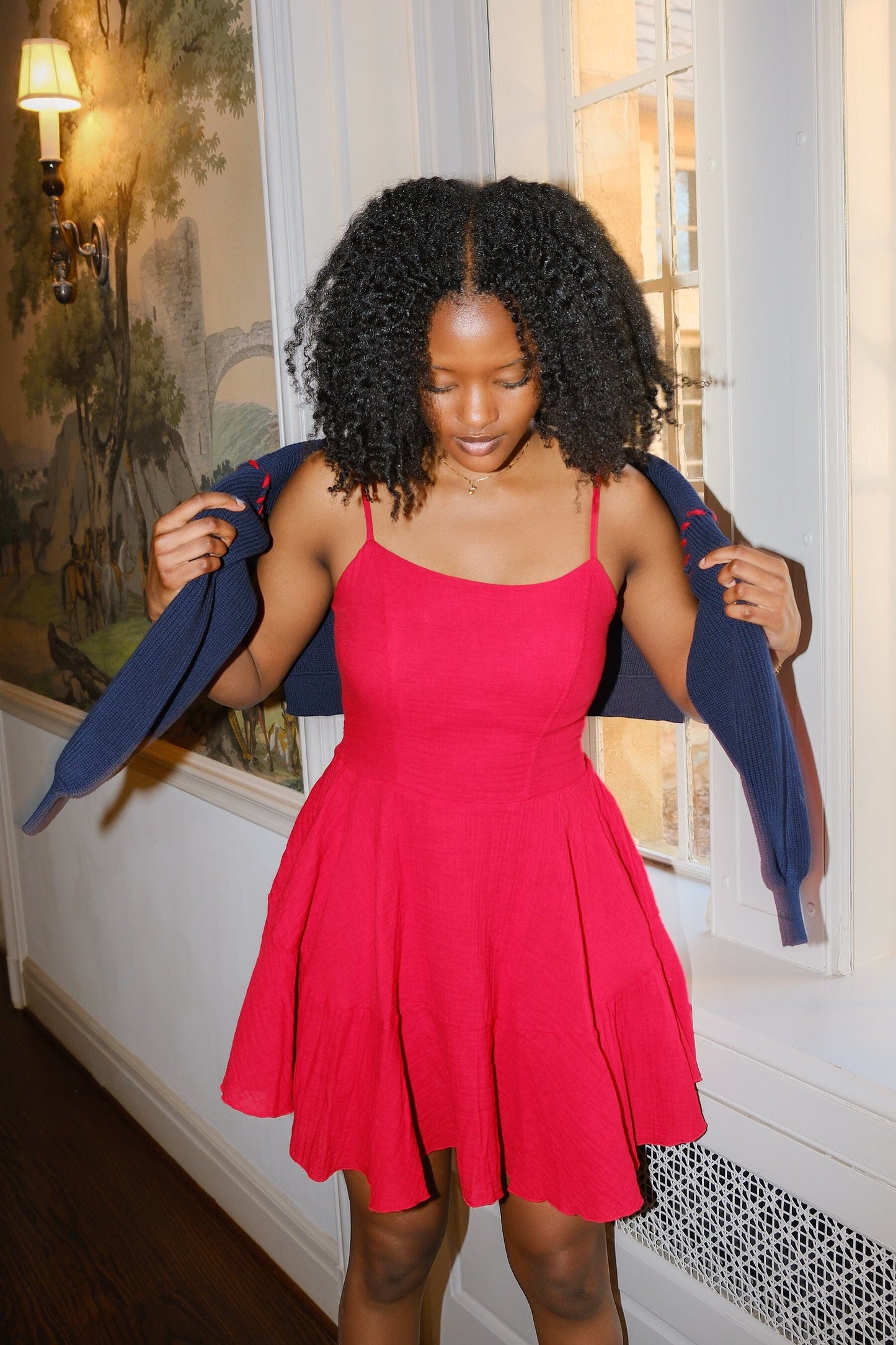 Leilana A Line Mini Dress
