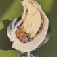 Pearl Oyster Candle Candle Nata Concept Store 