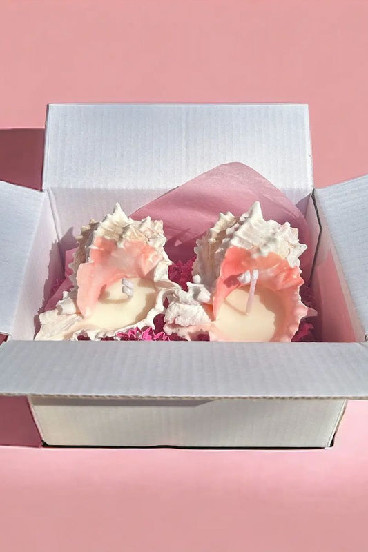 Pink Murex Shell Candle Set Candle Nata Concept Store 