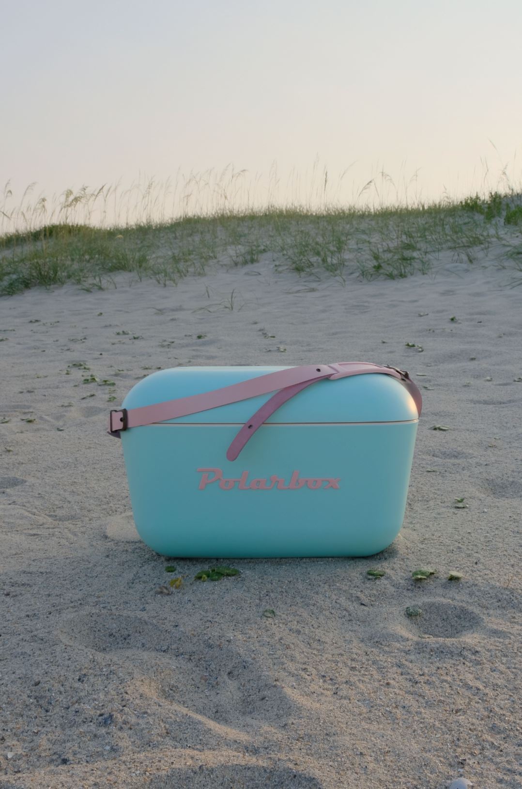 Polarbox Portable Cooler Bags mure + grand 