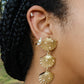 Shell Drop Dangle Earrings Earrings mure + grand 
