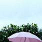 The Rain Umbrella Home Decor Business & Pleasure Co. 